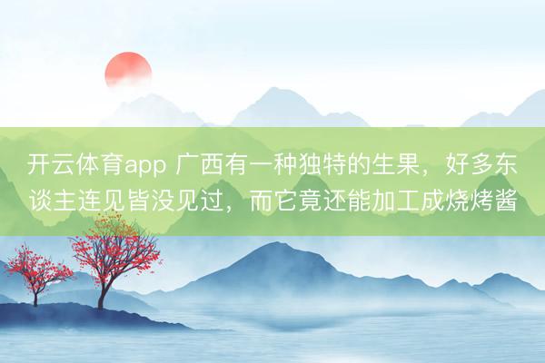开云体育app 广西有一种独特的生果，好多东谈主连见皆没见过，而它竟还能加工成烧烤酱