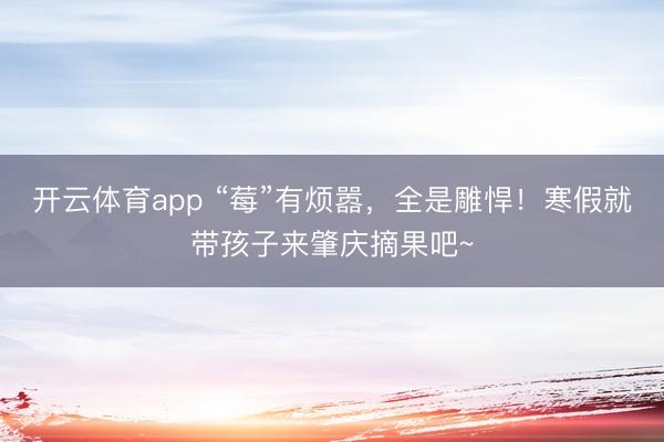 开云体育app “莓”有烦嚣，全是雕悍！寒假就带孩子来肇庆摘果吧~