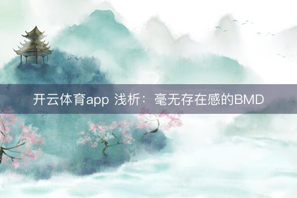 开云体育app 浅析:毫无存在感的BMD