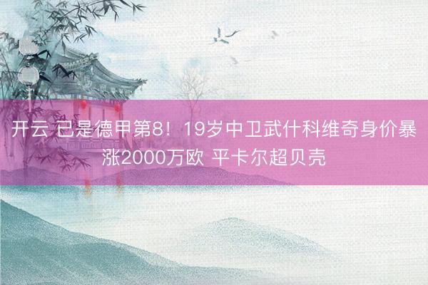 开云 已是德甲第8！19岁中卫武什科维奇身价暴涨2000万欧 平卡尔超贝壳