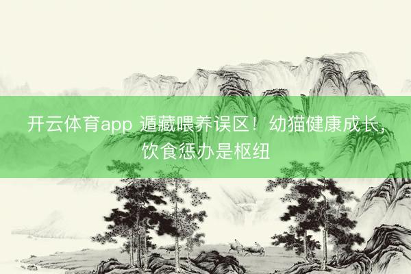 开云体育app 遁藏喂养误区！幼猫健康成长，饮食惩办是枢纽